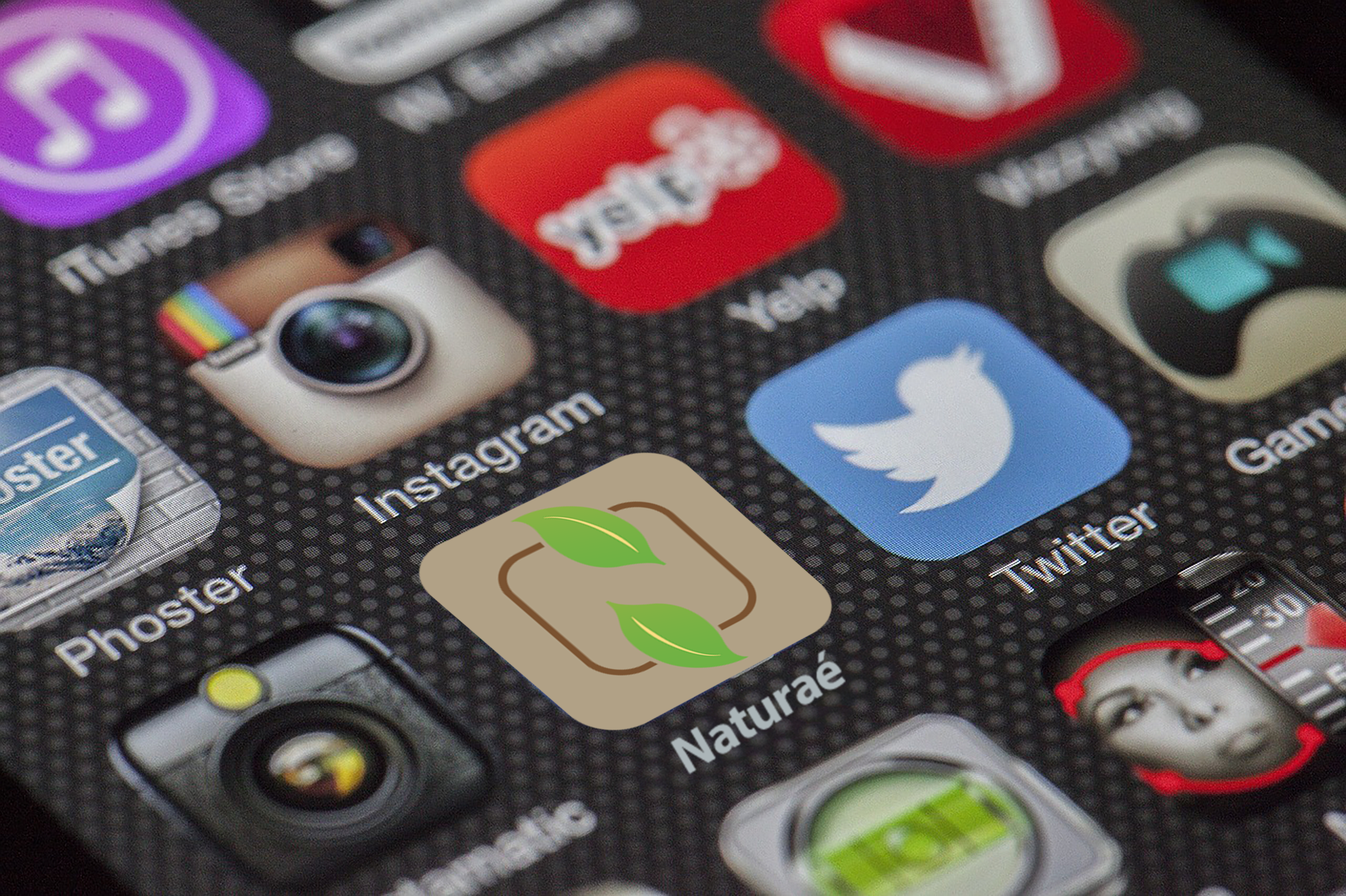 Cafe Naturaé Mobile Icon